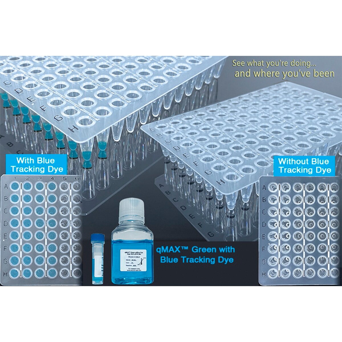 qMAX™ Green qPCR mix